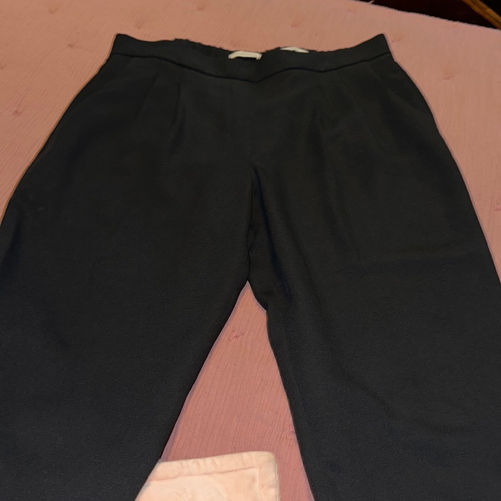 Babaton pants size 8